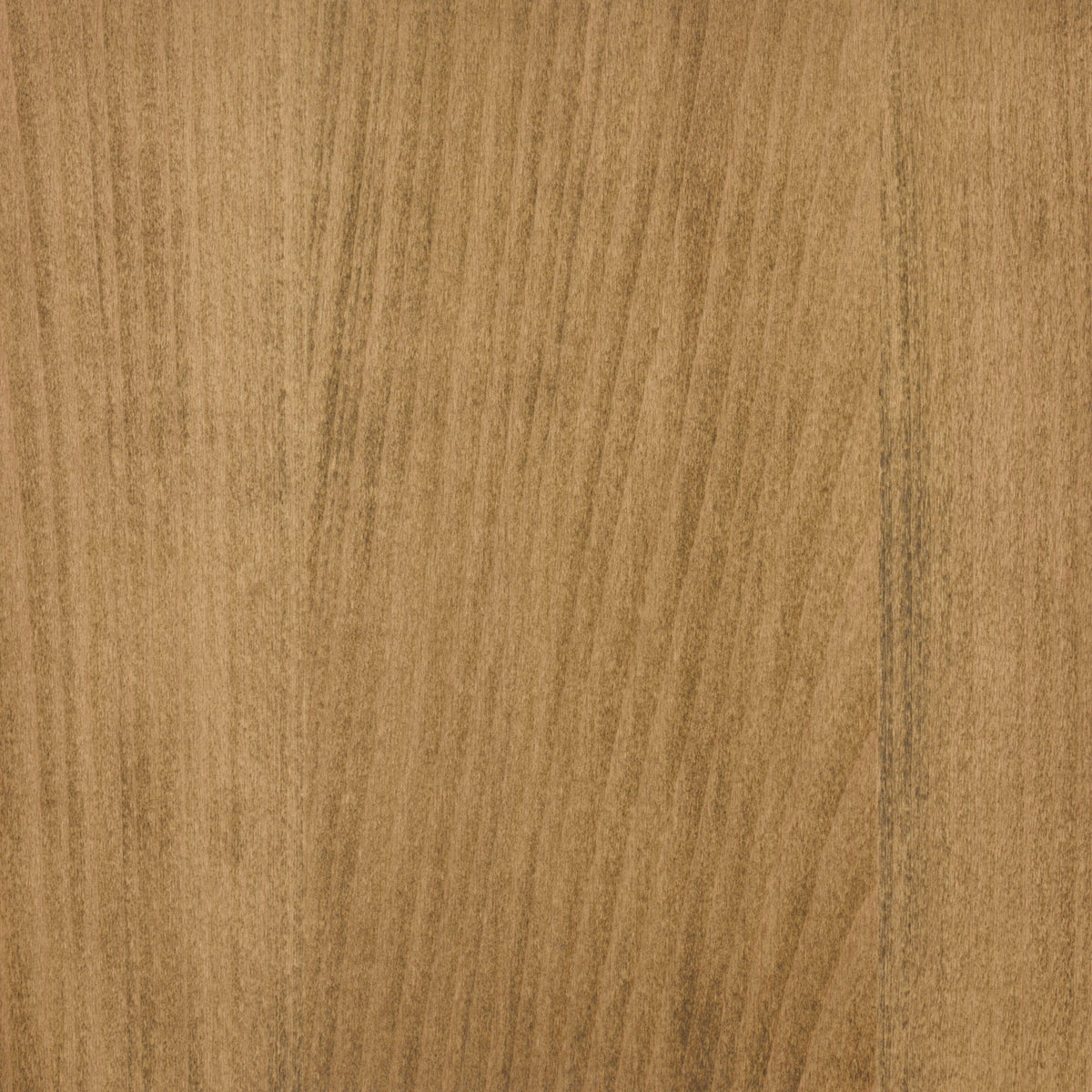 Beech