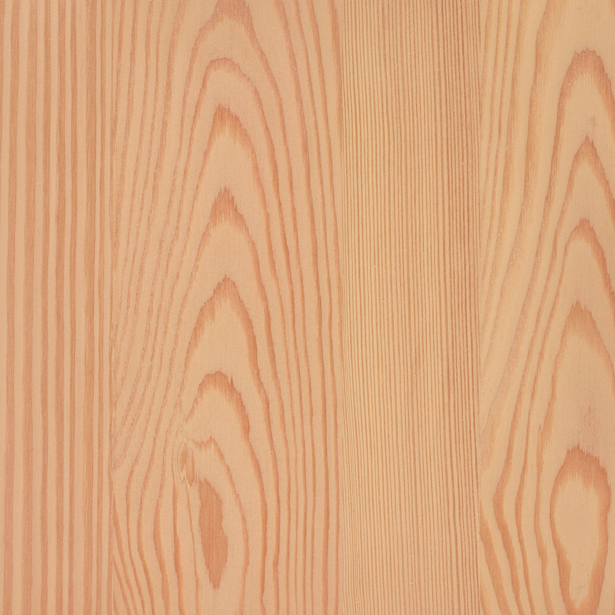 Larch