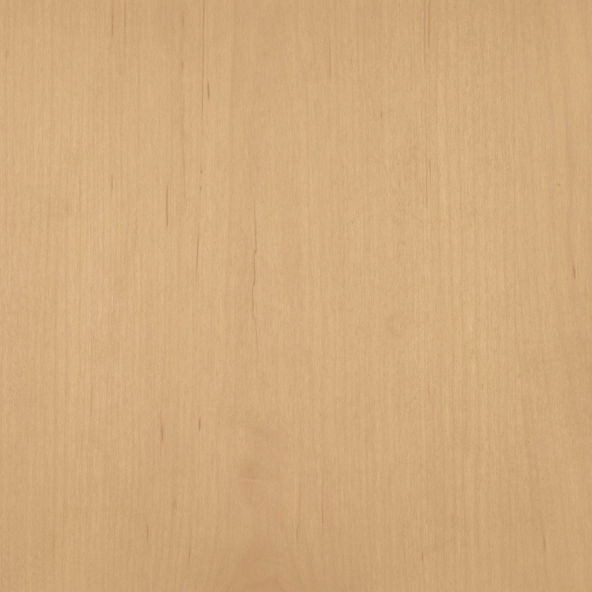 Maple